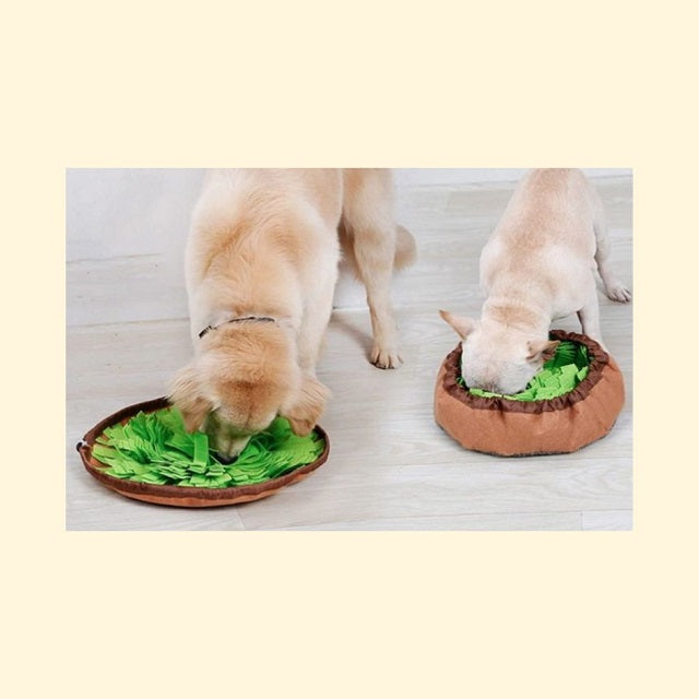 2-In-1 Snuffle Mat Bowl