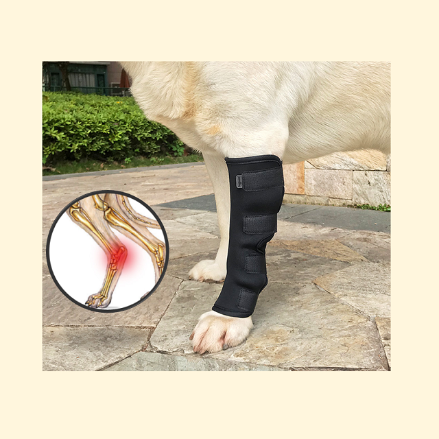 DogLemi Dog Hock Brace (Long)