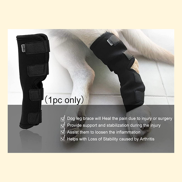 DogLemi Dog Hock Brace (Long)