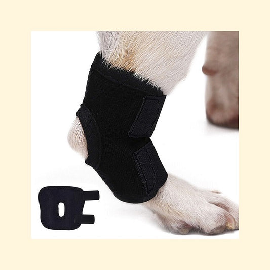 DogLemi Dog Hock Brace (Short)