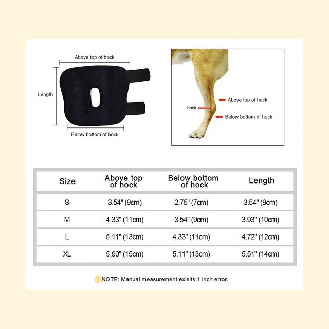 DogLemi Dog Hock Brace (Short)