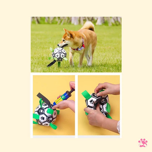 Dog Toy Football