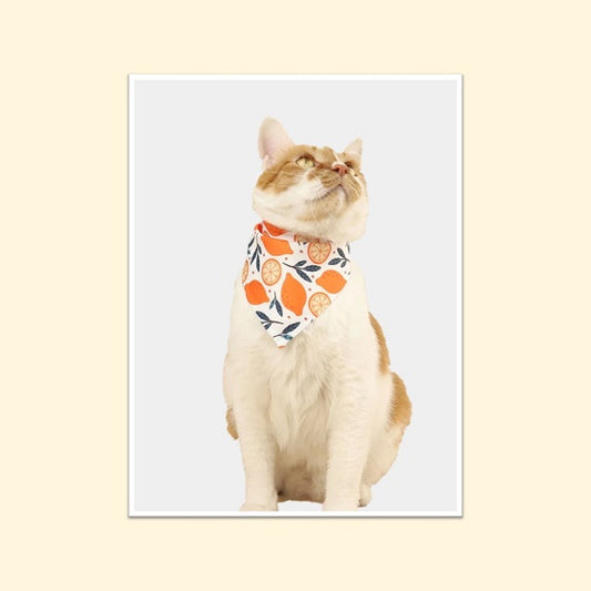 Casual Printed Bandana