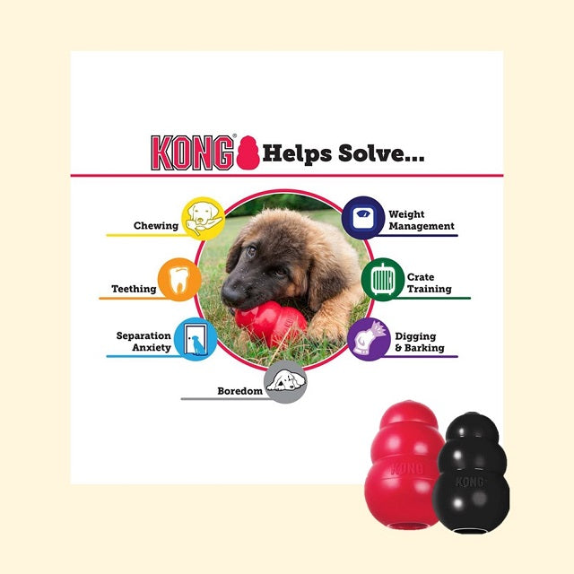 KONG Chew Toy