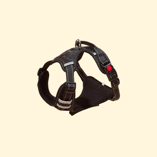 Reflective Harness, Geometric Pattern (XL)