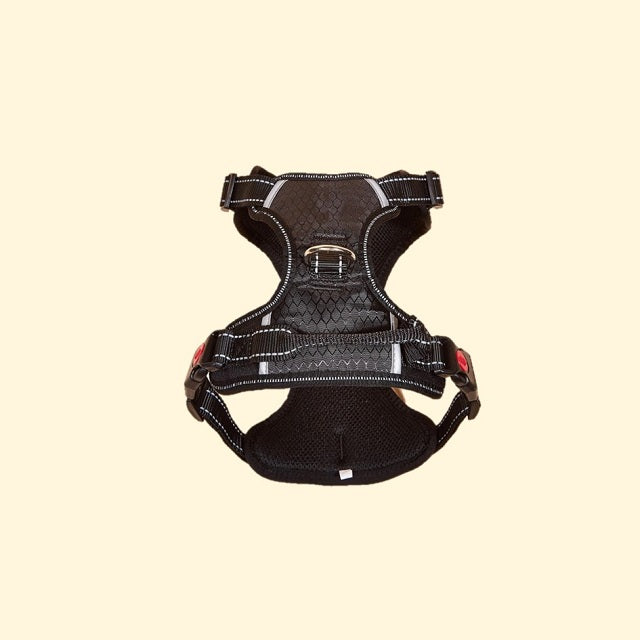 Reflective Harness, Geometric Pattern (XL)