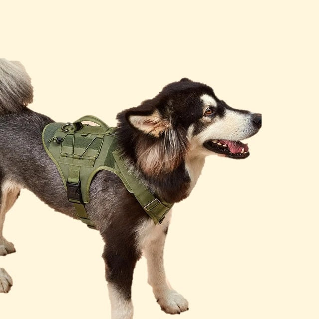 Tactical Vest Harness, Black (XL)